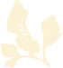 ndf-icon-leaf-light-left ndf-icon-leaf-light-left